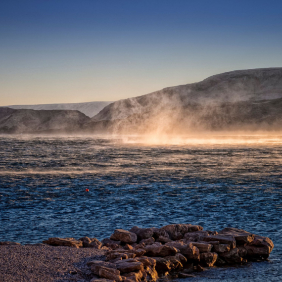 Lešina morskog psa uznemirila turiste u Hrvatskoj: Žena saznala od dece, pa prijavila