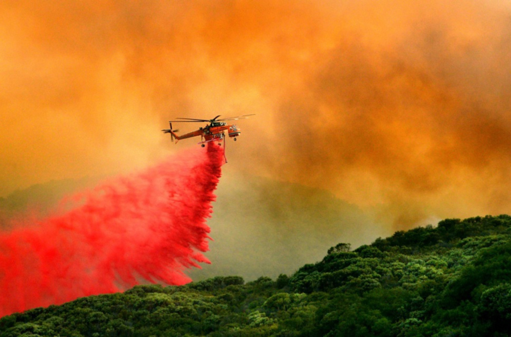 Veliki požar i u Istri: Izgorelo 50 hektara šume; podignuti kanaderi