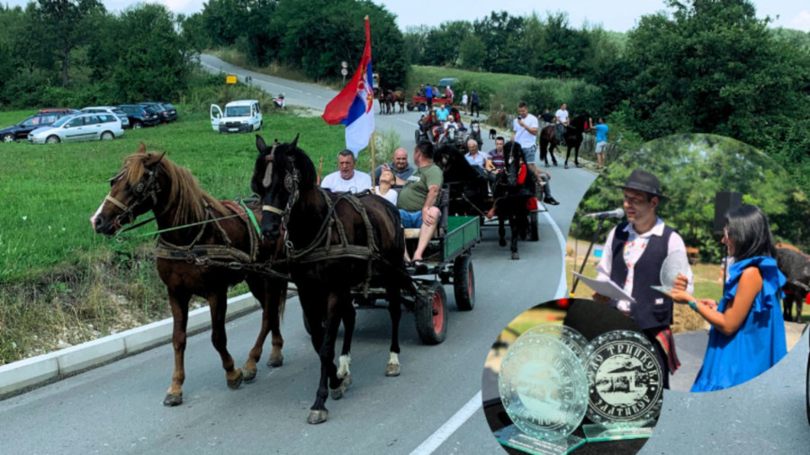 Krkobabić: Karavan zaprega u Tripkovi obeležio ovonedeljne Miholjske susrete FOTO