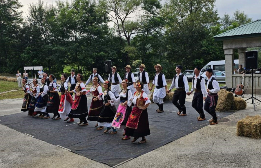 Krkobabić: Karavan zaprega u Tripkovi obeležio ovonedeljne Miholjske susrete FOTO