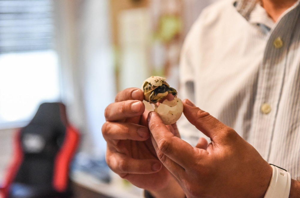 Nikola načinio nesvakidašji podvig: "Ako nađemo jaja dinosaursa i njega ćemo da izlegnemo" FOTO