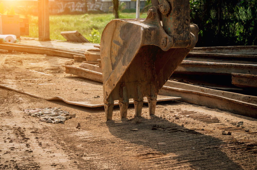 Uskoro rekonstrukcija parka prirode Mali Bosut: Izdvojeno 25 miliona dinara