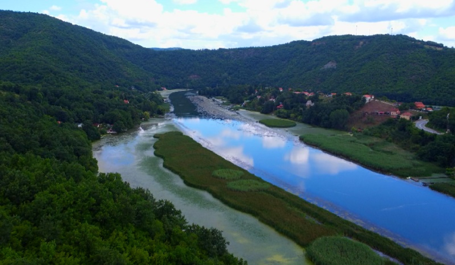 Polje divljih orhideja nalazi se u srcu Srbije FOTO