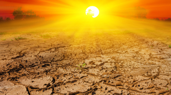 Alarms are sounding! The world faces a worst-case scenario; 450,000 could die?