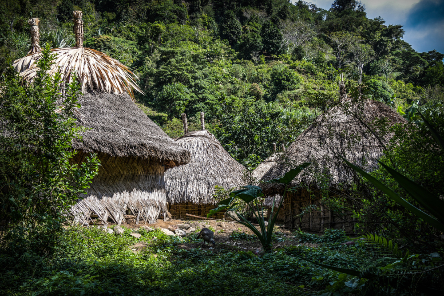 Jedno pleme je nakon 500 godina izašlo iz izolacije i upozorilo ljude na veliku opasnost