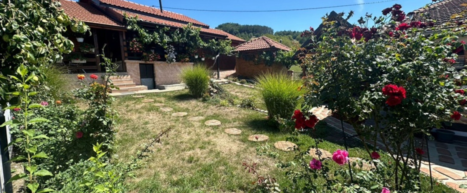 Raj za novčanike: U Guči smeštaj košta 15 evra, a domaći obrok 350 dinara FOTO