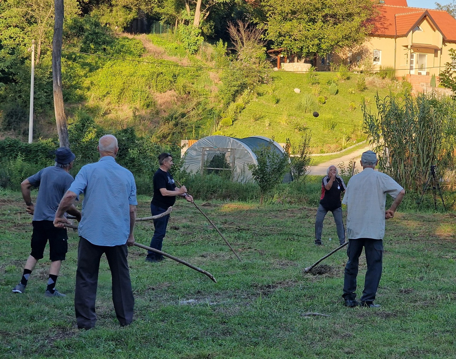Krkobabić: Da li znate za poarku?