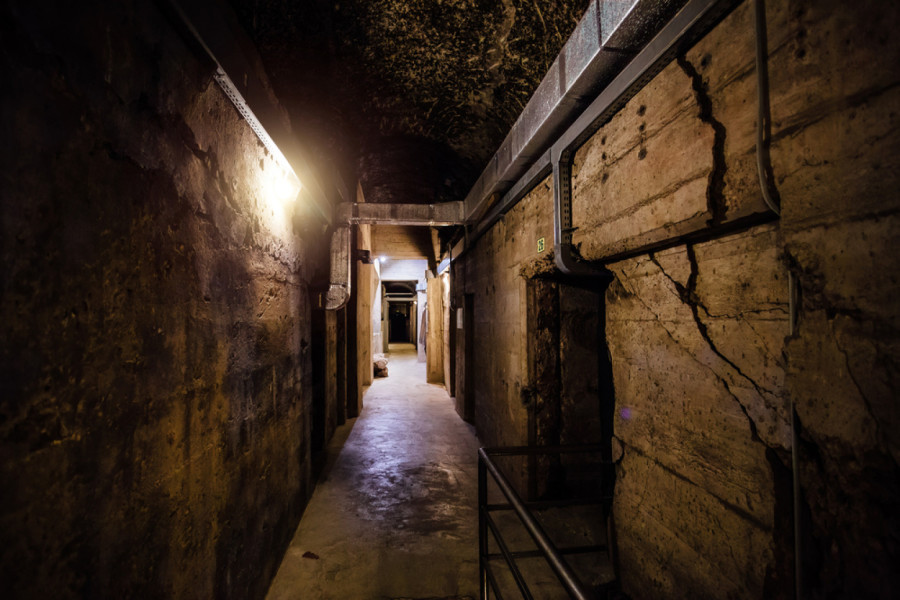 Evropa neprestano diže paniku: Uđite unutra, zatvorite prozore i vrata