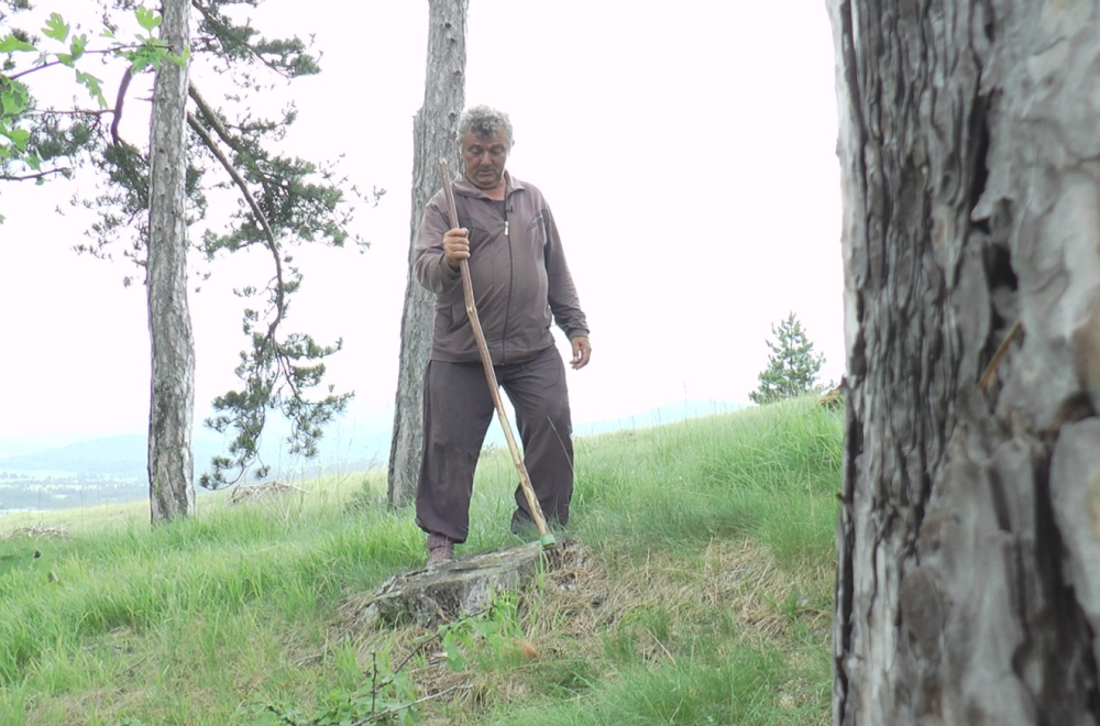 Magični zlatiborski lek neće imati ko da pravi FOTO