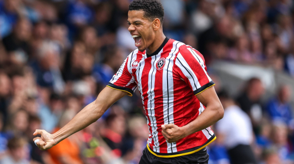 Njukasl dobio pojačanje iz Šefilda