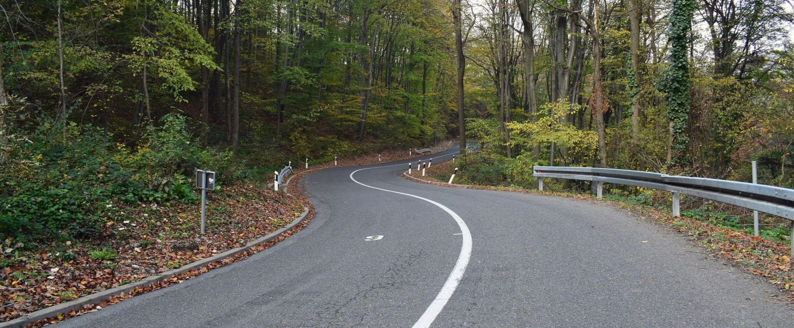 Top pet najboljih šuma u Beogradu: Idealna mesta za uživanje i beg od gradske buke