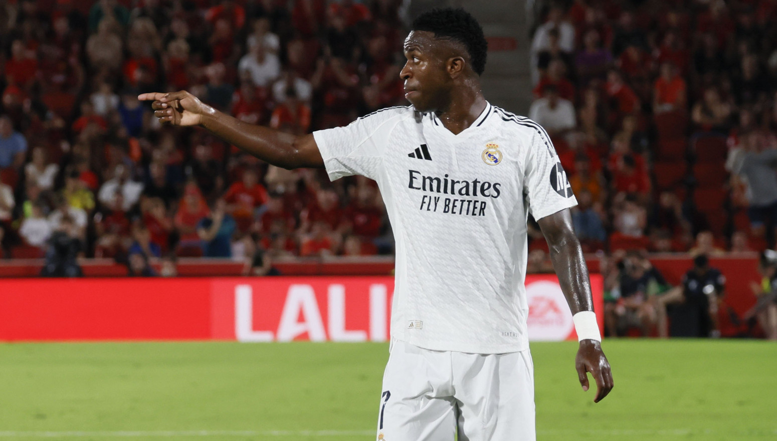 Vini neće u Saudijsku Arabiju – barem ne još