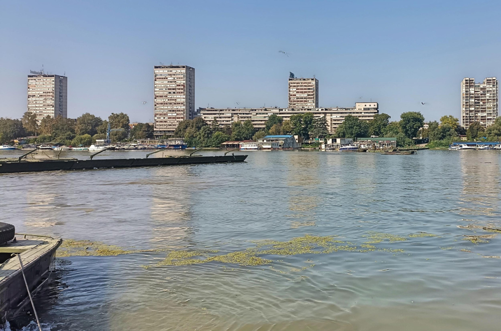 Do sledeće sezone: Rasklopljen most na Dunavu FOTO