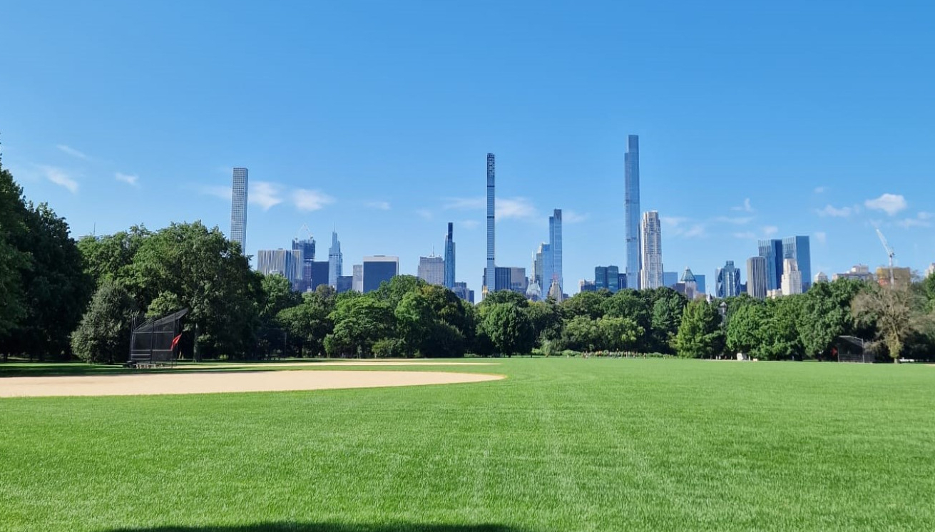 Oaza usred betonske džungle FOTO