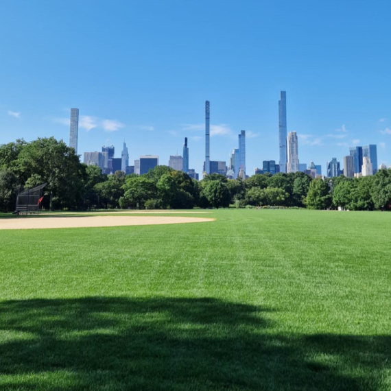 Oaza usred betonske džungle FOTO