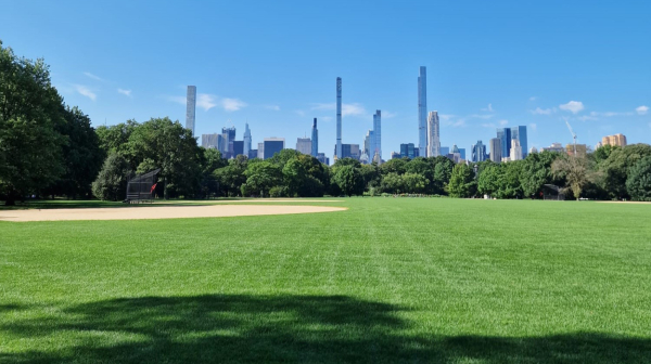 Oaza usred betonske džungle FOTO