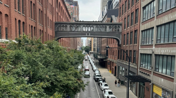 Pacovi su među nama