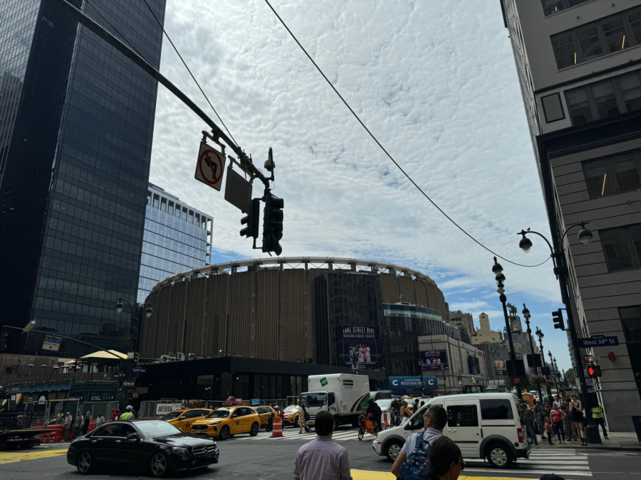 Pacovi su među nama