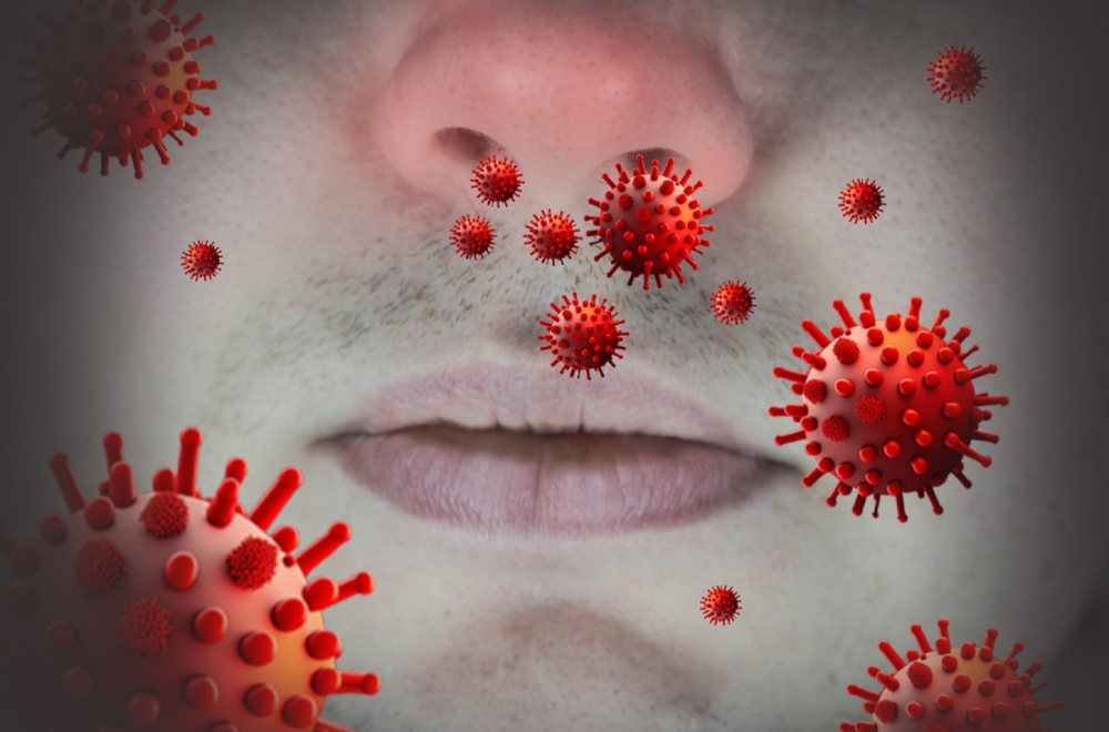 Salmonela može da pomogne u borbi protiv raka