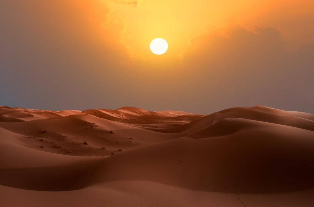 Do kraja veka Sahara bi mogla ponovo da bude zelena