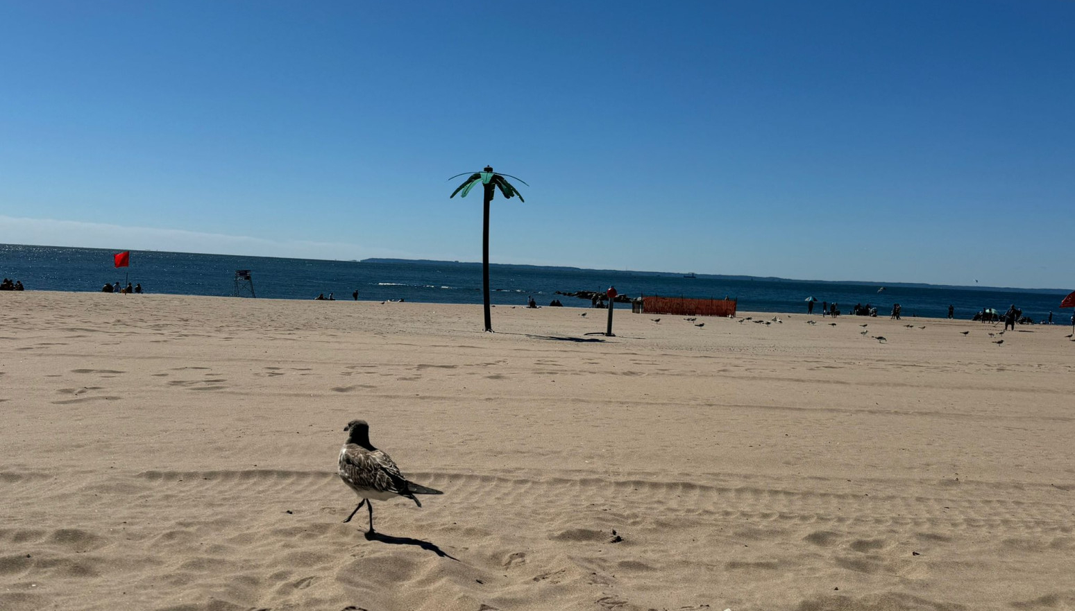 Nesvakidašnji Njujork – ostrvo koje je postalo poluostrvo FOTO/VIDEO