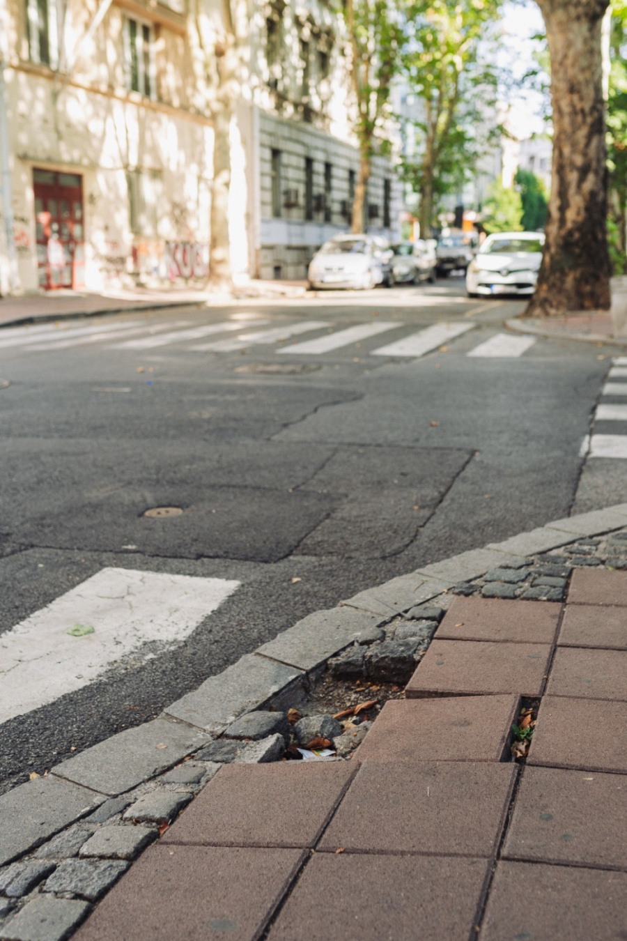 Šta se to dešava na ulicama Beograda? Osvanula prava mala umetnička dela FOTO