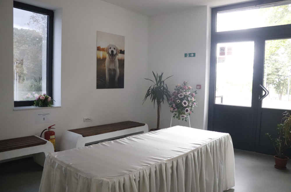 Za sahranu ljubimca i preko 30.000 dinara: U planu i zakup grobnih mesta unapred FOTO