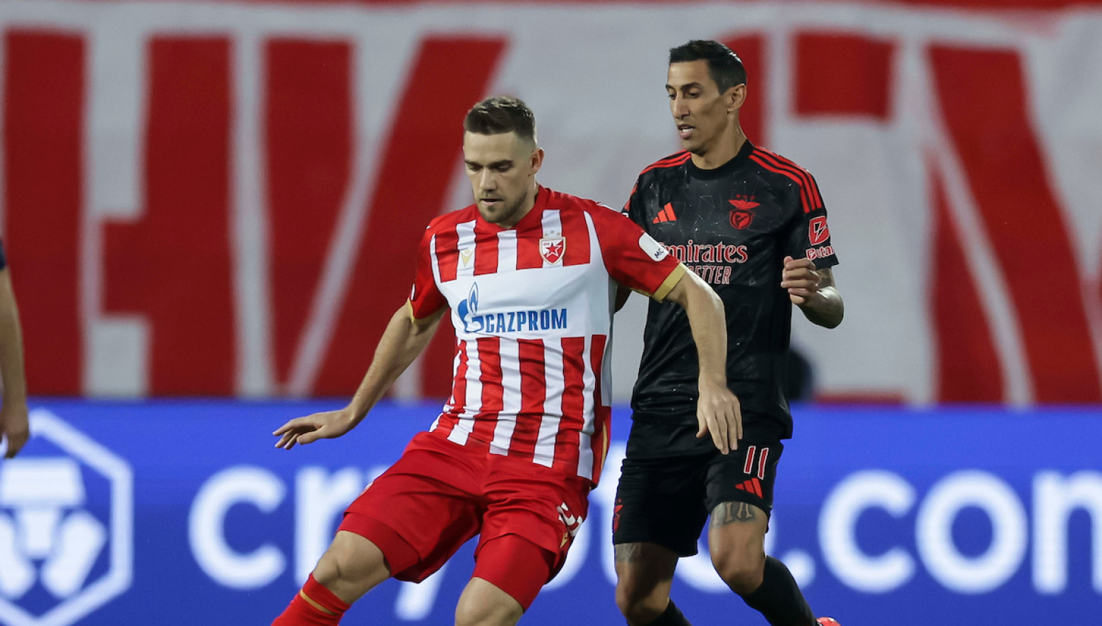 Nije dugo trebalo da Zvezda primi 1. gol u LŠ VIDEO