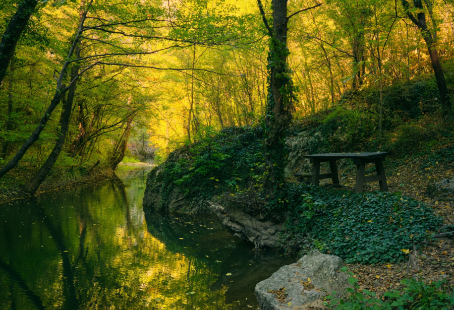Stranci oduševljeni sa ove dve banje u Srbiji: Evo iz kojih zemalja najviše dolaze FOTO