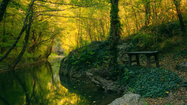 Bugari oduševljeni istočnom Srbijom: Netaknuta priroda i bogato kulturno nasleđe privlače turiste FOTO