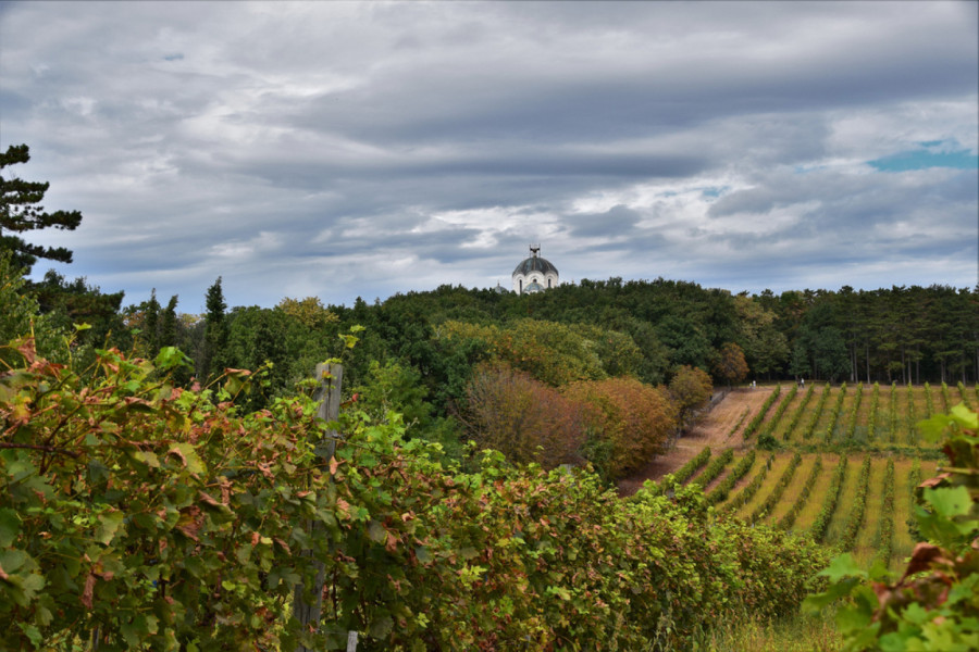 Rođen u Sremu, vladao Rimskim carstvom, a ubijen u svom vinogradu