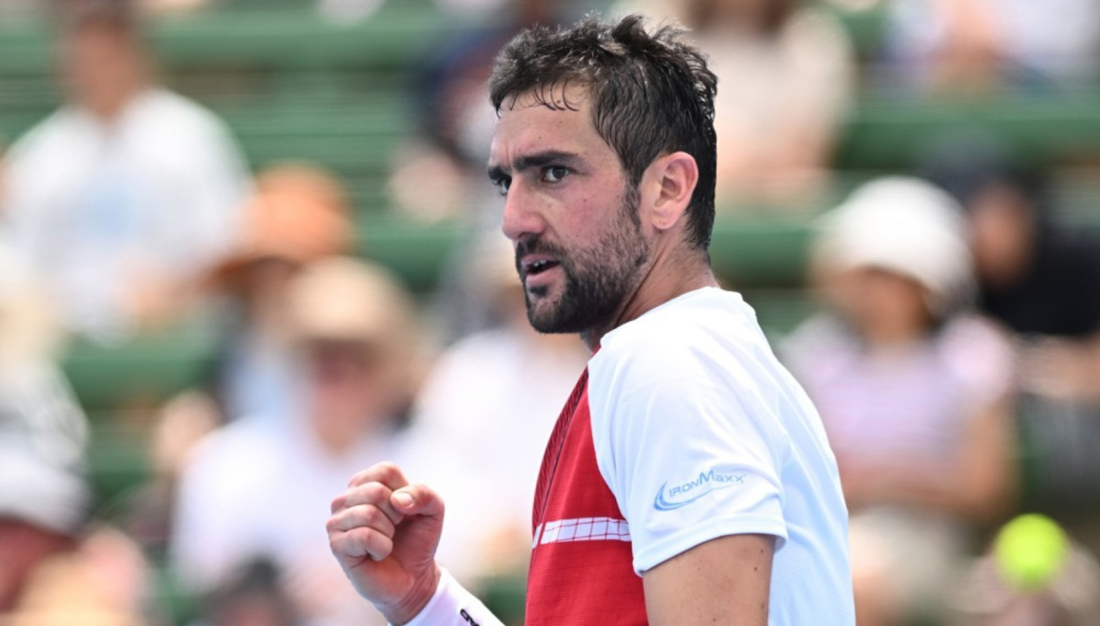 Čilić skočio za 565 mesta na ATP listi!