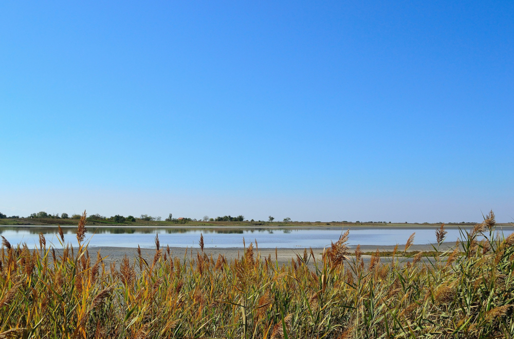 Banja za koju možda još niste čuli, a ima najlekovitije blato u Srbiji: Smeštaj sa doručkom za 2.900 dinara