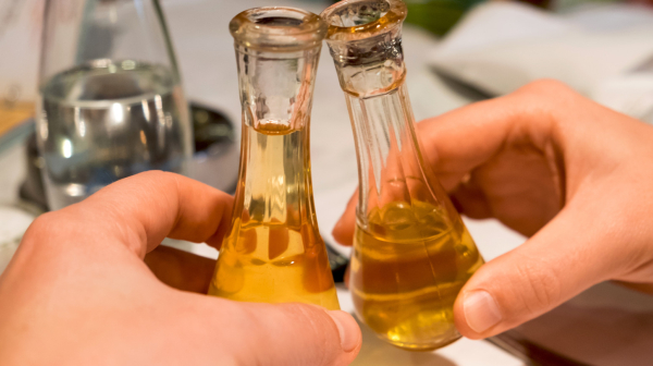 Jedna rakijica pre ručka ― da ili ne?