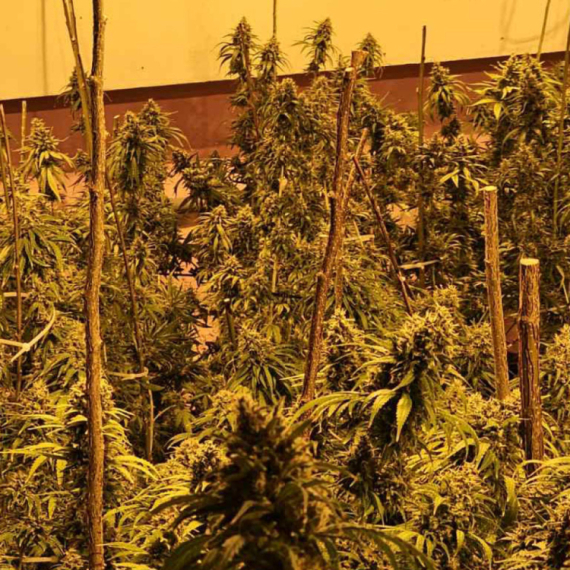 "To je najveća laboratorija ikada pronađena": Oglasio se Dačić povodom hapšenja u Kruševcu