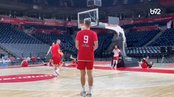 Mitrović i Dobrić "u raspravi" šta su koraci VIDEO