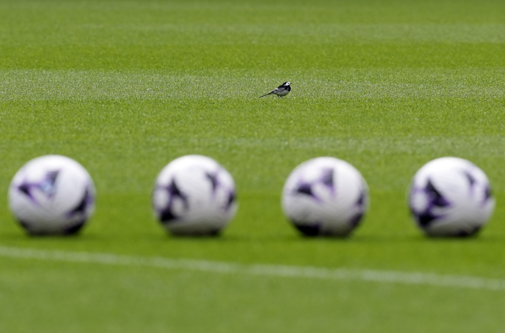 Vlasnik Notingem Foresta optužen za nedolično ponašanje