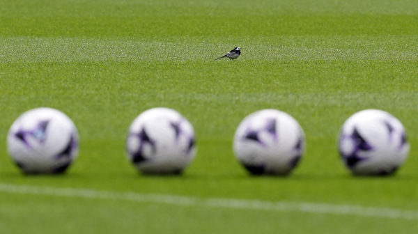 Vlasnik Notingem Foresta optužen za nedolično ponašanje