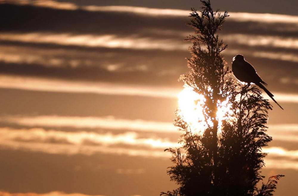 Od ovog datuma se sve menja; Stiže drastična promena vremena