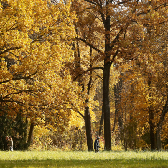 Pravo proleće: Smena oblaka i sunca, a ponegde i sa padavinama