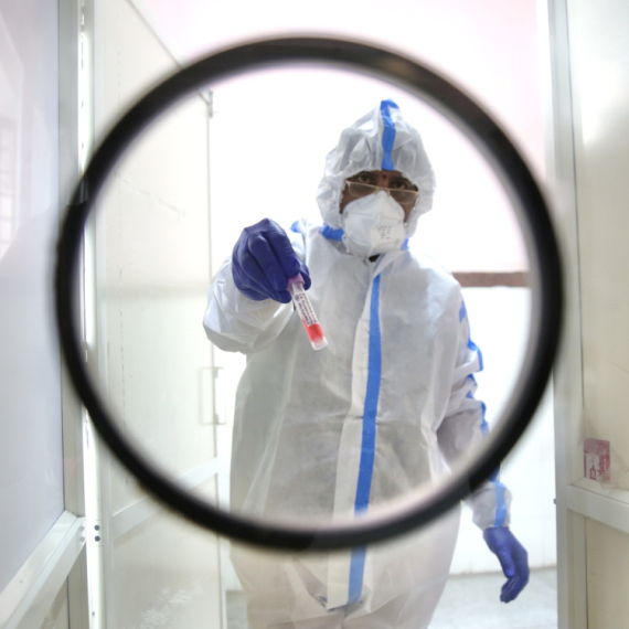 Otkriven novi soj ptičjeg gripa