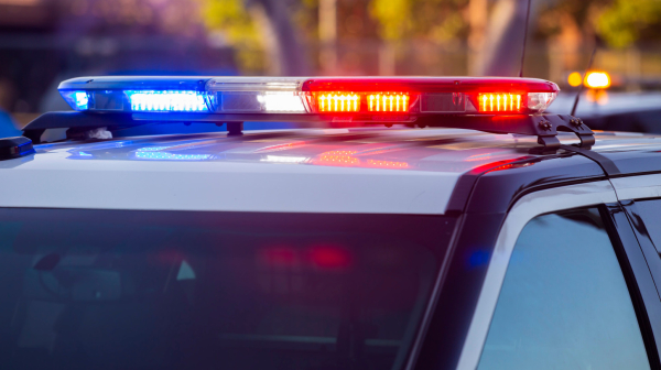 Epilog tuče u Beogradu – policija privela navijače, pojavio se novi snimak VIDEO