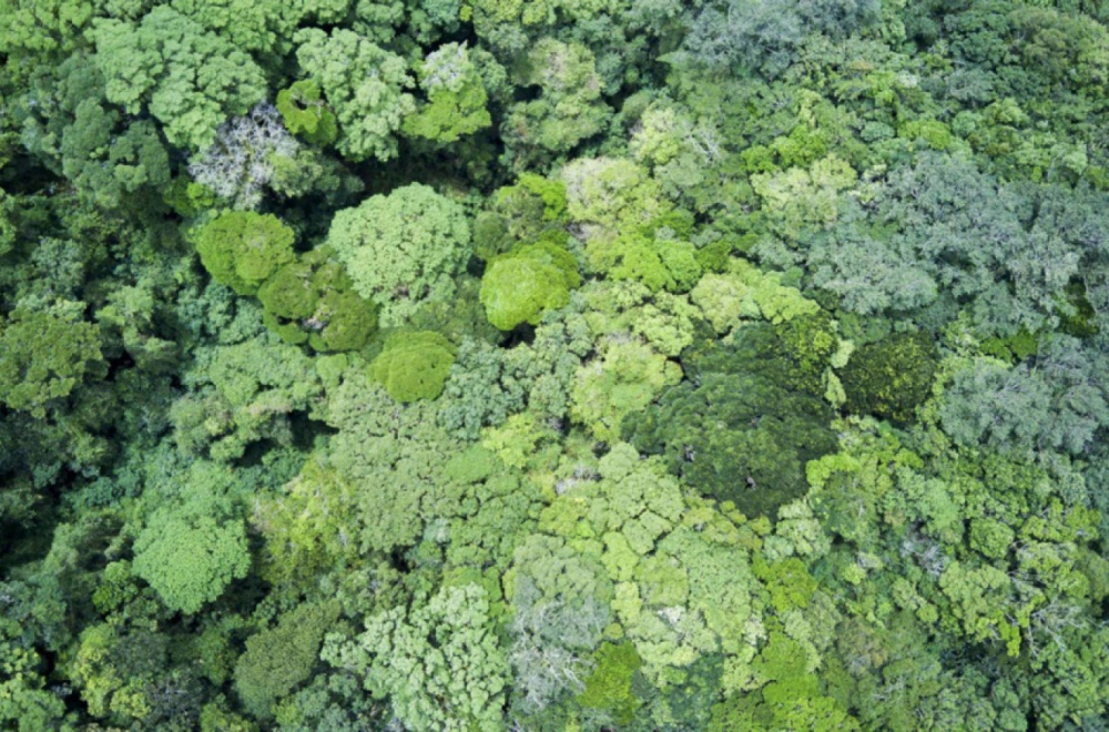 Poslednji izveštaj je užasan: Podaci su šokantni; Još pet godina i kraj svega...