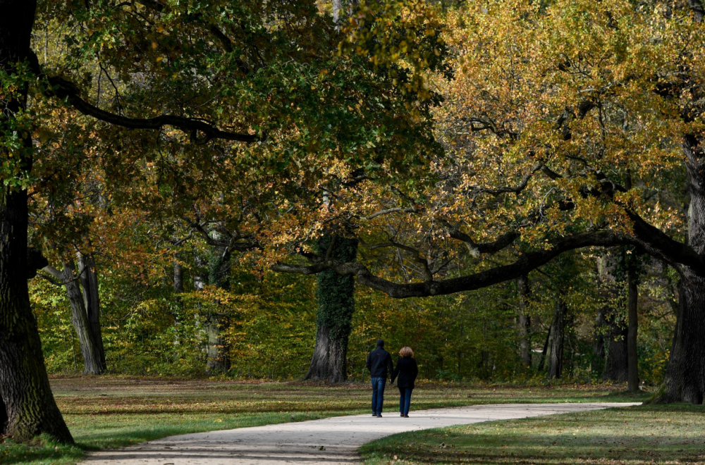 "Ova nedelja biće neverovatna"; Posle "zlatne jeseni", stižu sneg i pravi zimski minusi