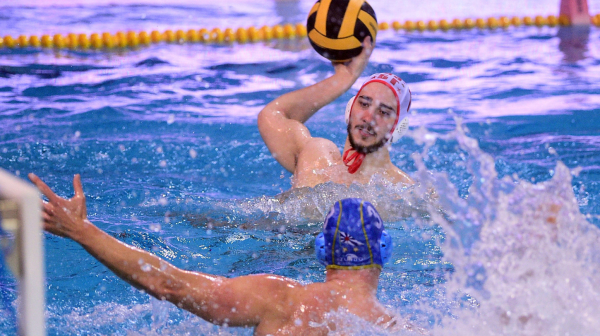 Pala odluka: Žestoka kazna za Crnogorca koji je nasrnuo na Milojevića