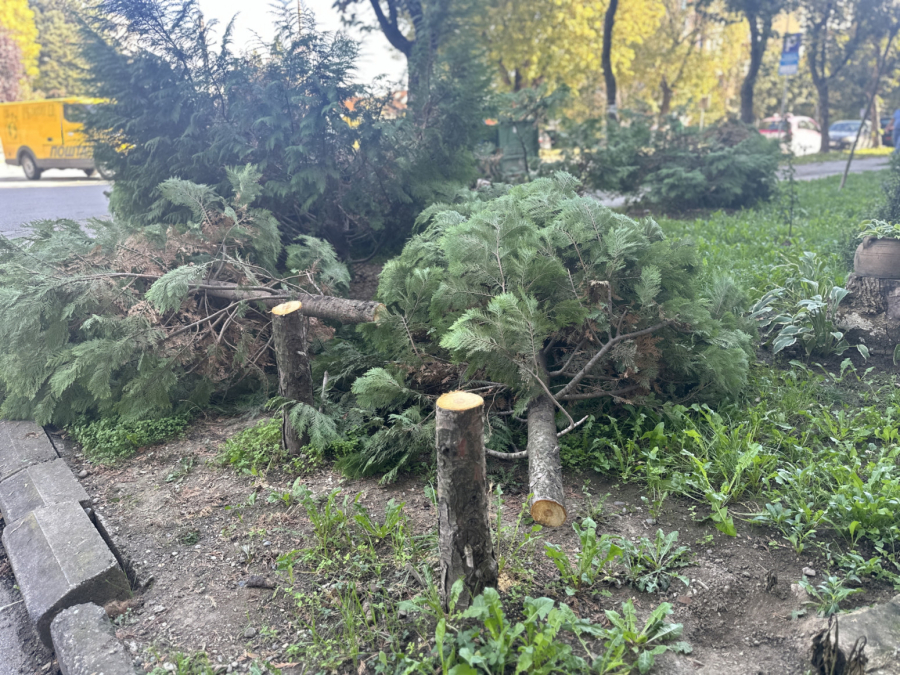 Čula sam testeru, a potom videla kako beži: Čačani besni zbog ovoga FOTO