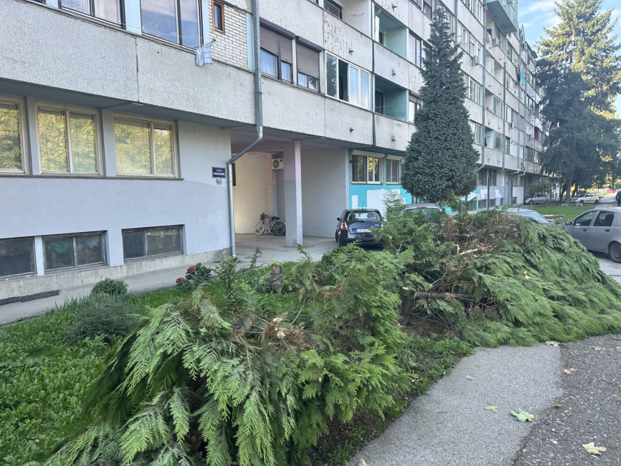 Čula sam testeru, a potom videla kako beži: Čačani besni zbog ovoga FOTO