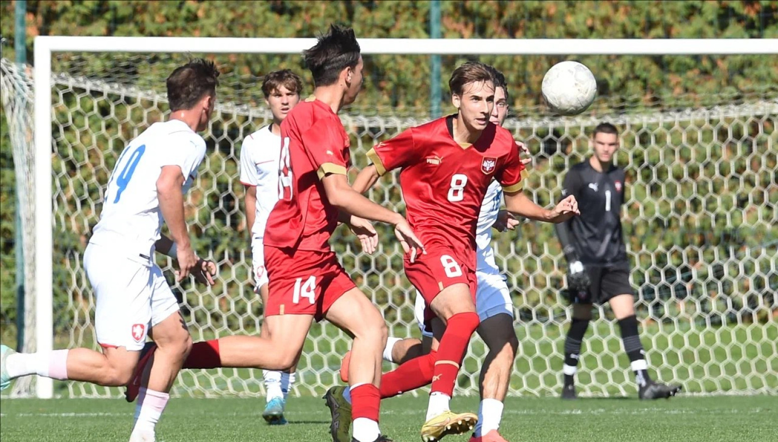 Novi poraz Petrićeve Srbije