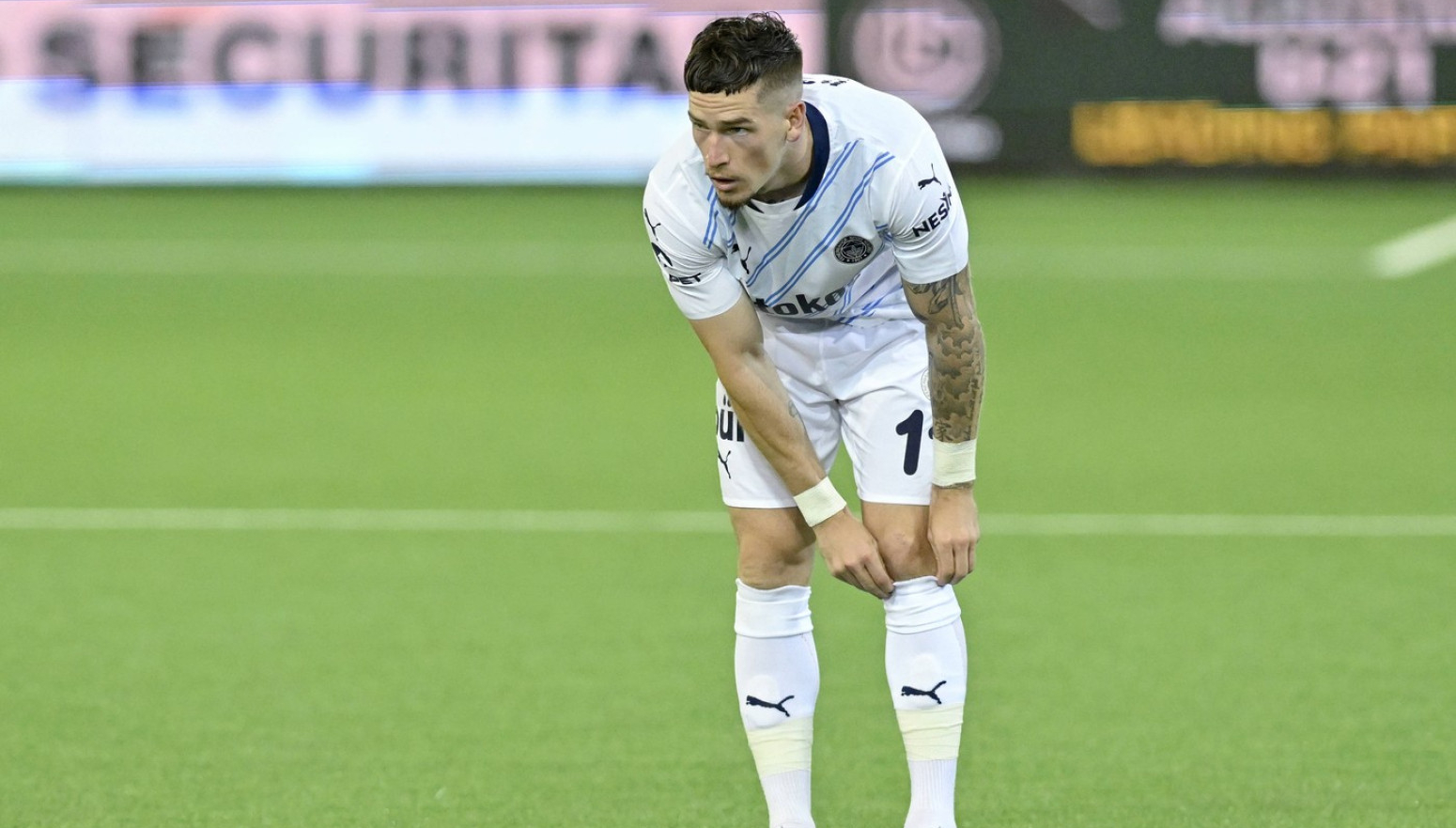 Murinjo "oterao" Engleza iz Fenera