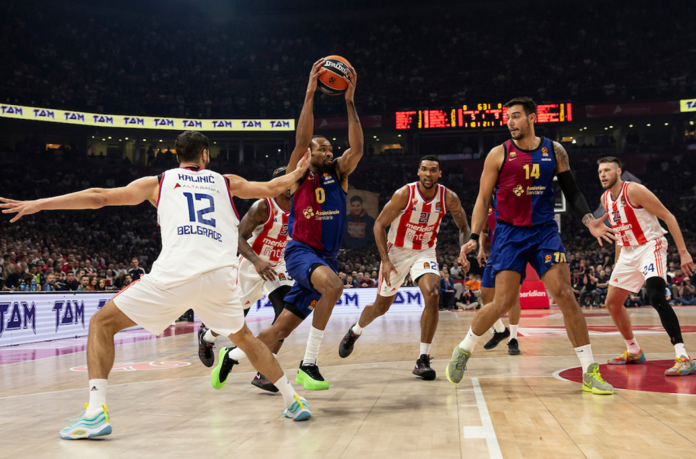 Panter spasao Barsu, pa "počastio" publiku VIDEO